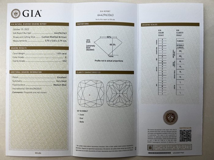 1 pcs Diamant  (Natur)  - 1.03 ct - Pude - E - VS2 - Gemological Institute of America (GIA)