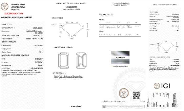 Ingen mindstepris - Halskæde med vedhæng - 14 karat Hvidguld -  5.62ct. tw. Diamant (Laboratoriedyrket) - F VS1 IGI Certificeret