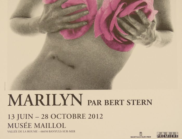 Bert Stern - Marylin, Musée Maillol