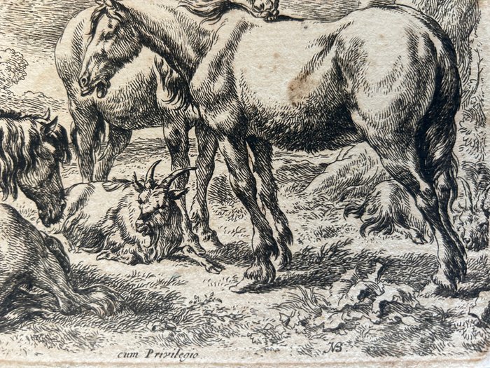 Nicolaes Pietersz. Berchem (XVII) - Tre cavalli - Drie Paarden; Les Chevaux