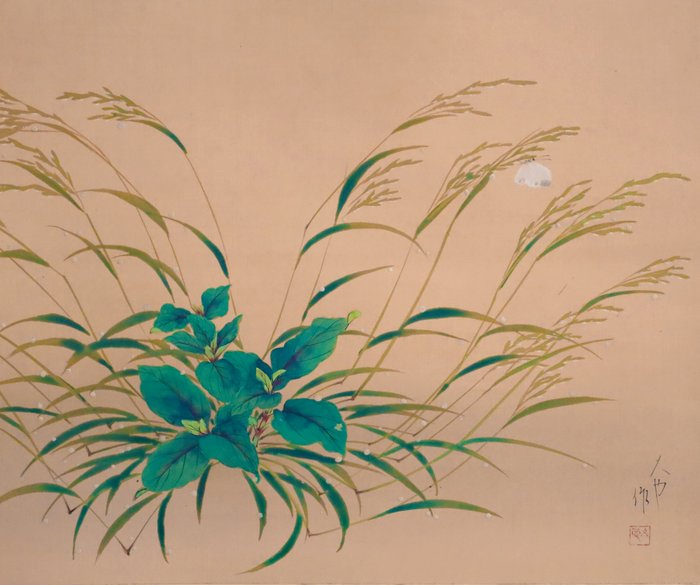 Grass and Butterfly - Hanging Scroll - with original wooden box - Hisaya 久也 - Japan  (Ingen mindstepris)