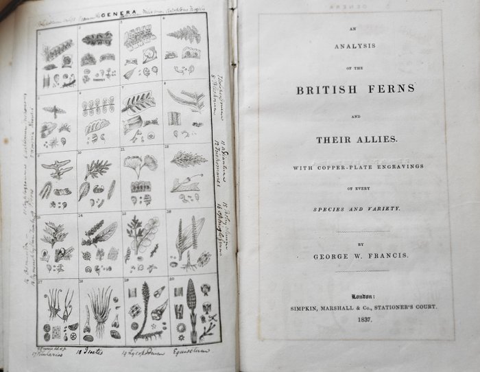 George W Francis - An analysis of the British Ferns and their allies with copper-plate engravings of every species and - 1837