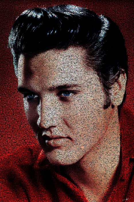 David Law - Crypto Elvis X