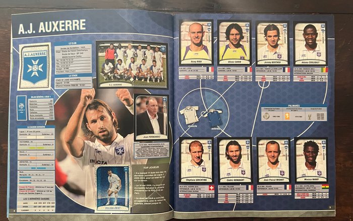 Panini - Foot 2010 France - 1 Complete Album