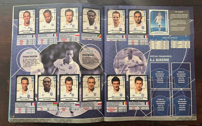 Panini - Foot 2010 France - 1 Complete Album