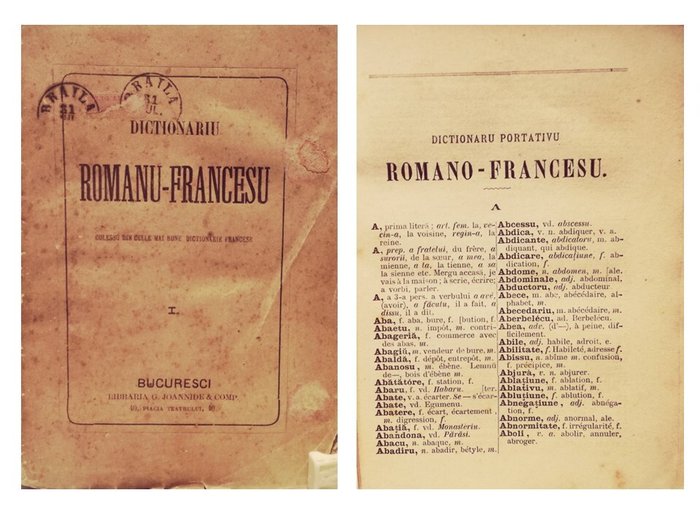 Antonescu G M - Dictionariu Romanu Francesu - 1875