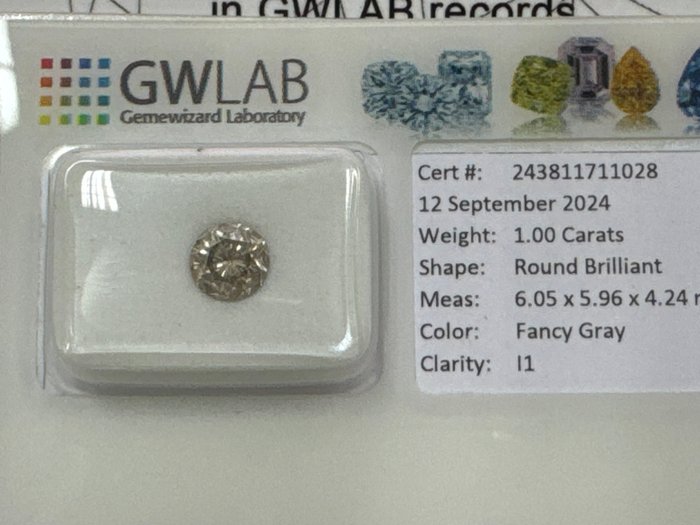 Ingen mindstepris - 1 pcs Diamant  (Naturfarvet)  - 100 ct - Rund - Fancy Grå - I1 - Gemewizard Gemological Laboratory (GWLab)