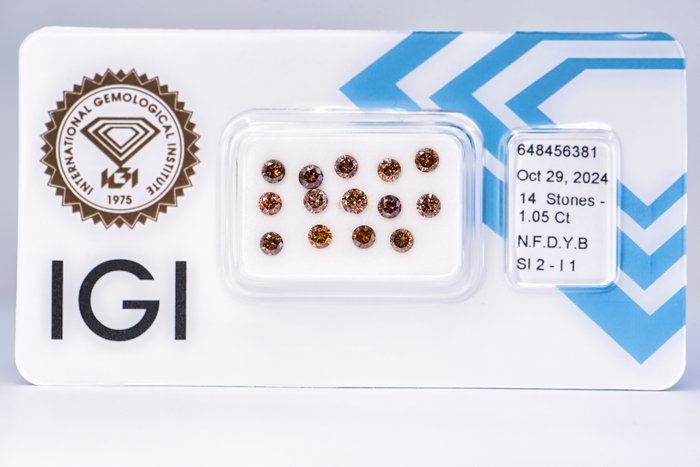 Ingen mindstepris - 14 pcs Diamant  (Naturfarvet)  - 1.05 ct - Rund - Fancy deep Gul Brun - I1, SI2 - International Gemological Institute (IGI)