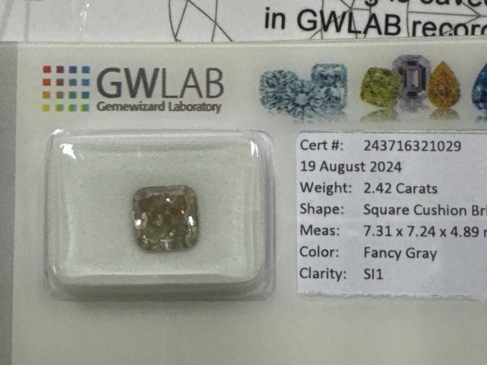 1 pcs Diamant  (Naturfarvet)  - 242 ct - Pude - Fancy Grå - SI1 - Gemewizard Gemological Laboratory (GWLab)