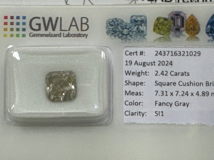 1 pcs Diamant  (Naturfarvet)  - 242 ct - Pude - Fancy Grå - SI1 - Gemewizard Gemological Laboratory (GWLab)