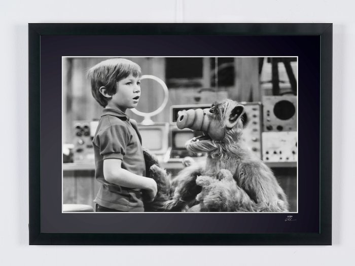 ALF TV SERIE - Benji Gregory - Fine Art Photography - Luxury Wooden Framed 70X50 cm - Limited Edition Nr 01 of 30 - Serial ID 17134 - Original Certificate (COA), Hologram Logo Editor and QR Code - 100% New items.