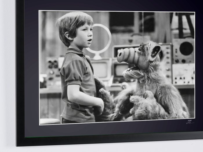 ALF TV SERIE - Benji Gregory - Fine Art Photography - Luxury Wooden Framed 70X50 cm - Limited Edition Nr 01 of 30 - Serial ID 17134 - Original Certificate (COA), Hologram Logo Editor and QR Code - 100% New items.