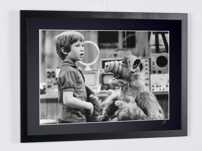 ALF TV SERIE - Benji Gregory - Fine Art Photography - Luxury Wooden Framed 70X50 cm - Limited Edition Nr 01 of 30 - Serial ID 17134 - Original Certificate (COA), Hologram Logo Editor and QR Code - 100% New items.