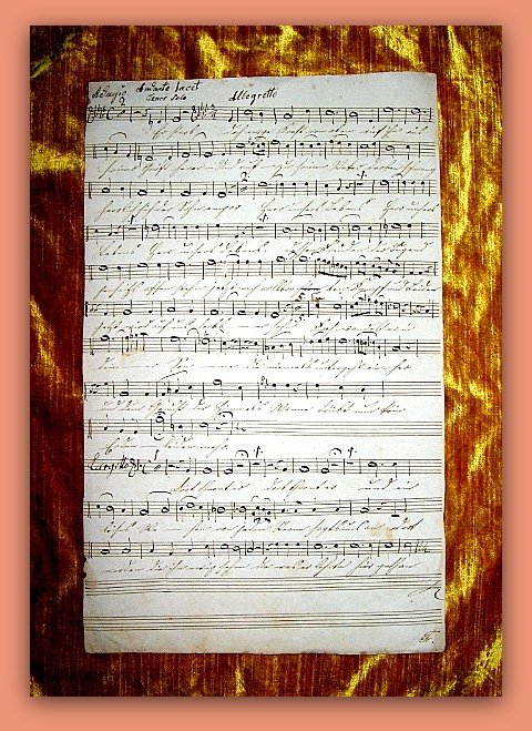 Signiertes Notenmanuskript : Instrumentalkomponist - komponiertes Musikstück Cornu Secondo Bütten-Papier  Wasserzeichen - 1813