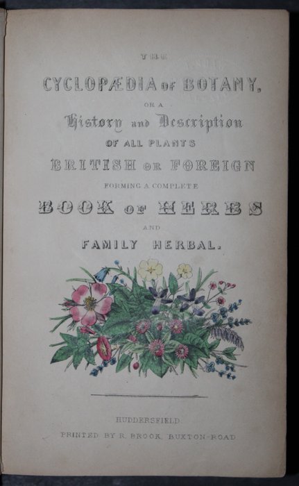 Richard Brook - The Cyclopaedia of Botany and complete Book of Herbs forming a History and Description of all Plants - 1854