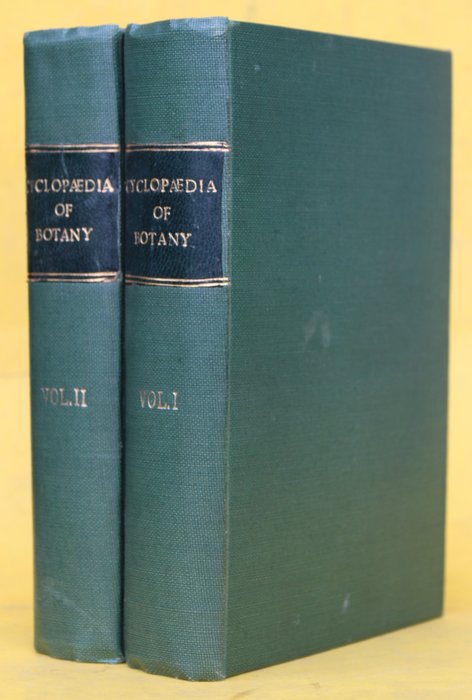 Richard Brook - The Cyclopaedia of Botany and complete Book of Herbs forming a History and Description of all Plants - 1854