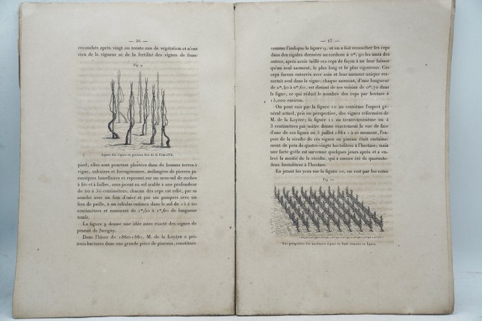 Dr Jules Guyot - Sur la viticulture de l'Est de la France - 1863