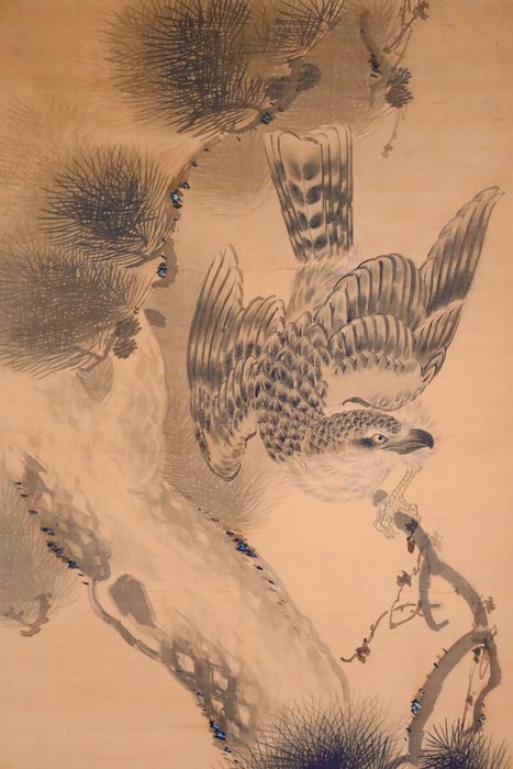 Hanging Scroll - Old Pine and Hawk - Ukendt kunstner - Japan  (Ingen mindstepris)