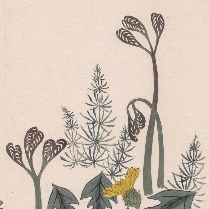 "Bracken, Dandelion, Violet and Horsetails" - From the Ehon: 'Flowers of the Four Season' - Sakai Hoitsu (1761 - 1828) - Japan