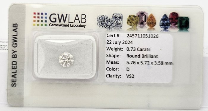 1 pcs Diamant  (Natur)  - 0.73 ct - Rund - D (farveløs) - VS2 - Gemewizard Gemological Laboratory (GWLab)