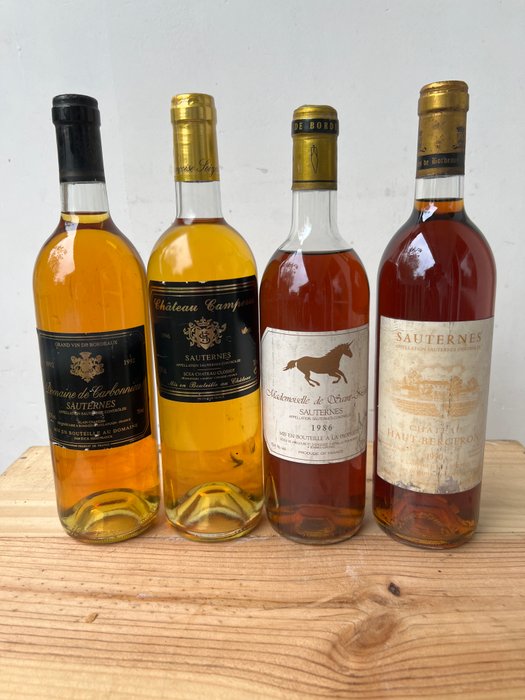 1996 Chateau Camperos , 1992 Domaine de Carbonnieu, 1990 Chateau Haut de Bergeron  1986 Mademoiselle de - Sauternes - 4 Flasker (0,75 L)