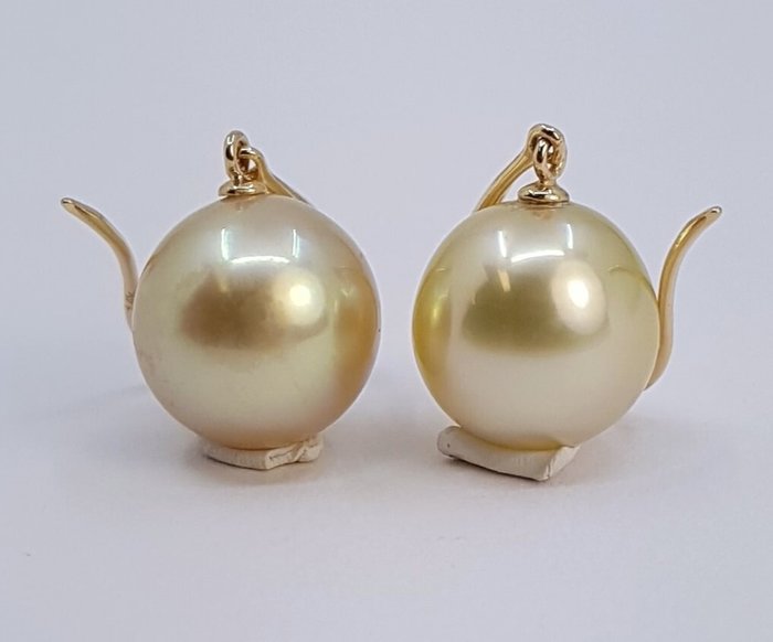 Ingen mindstepris - Øreringe - 14 karat Gulguld - 9x10mm South Sea Pearls