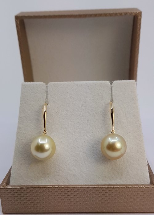 Ingen mindstepris - Øreringe - 14 karat Gulguld - 9x10mm South Sea Pearls