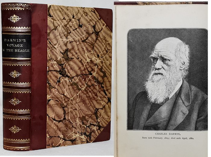 Charles Darwin - Journal of Researches into the Natural History and Geology during the Voyage of HMS "Beagle" - 1891