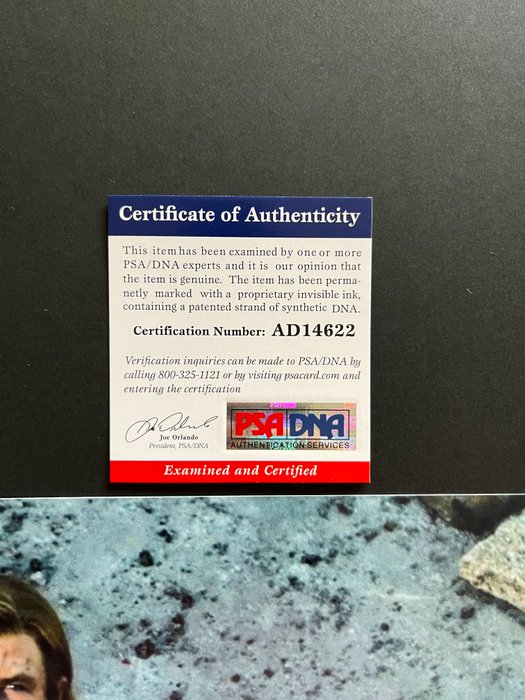 The Avengers, Chris Hemsworth (Thor) - Signed in Person - with PSA/DNA Certificate - Autograph, photo - No Reserve!