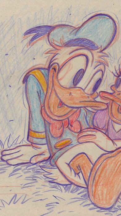 Millet - 1 Colour pencil drawing - Donald Duck - 2024