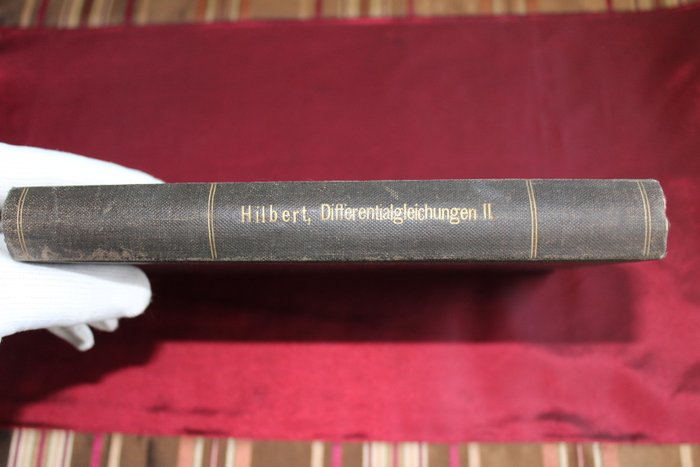 [David Hilbert] / Rudolf Albert Theodor Schimmack - Höhere Differentialgleichungen - 1903