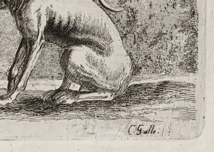 Stefano della Bella (1610 - 1664) by Cornelius Galle I (1576-1650) - Due cani da caccia