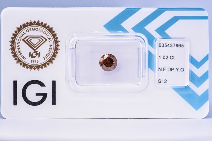 Ingen mindstepris - 1 pcs Diamant  (Naturfarvet)  - 1.02 ct - Rund - Fancy deep Gullig Orange - SI2 - International Gemological Institute (IGI)