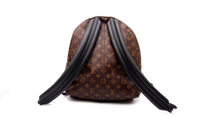 Louis Vuitton - Louis Vuitton Palm Spring Monogram - Rygsæk