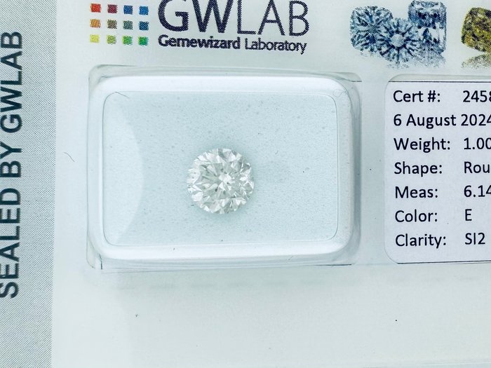 1 pcs Diamant  (Natur)  - 1.00 ct - Rund - E - SI2 - Gemewizard Gemological Laboratory (GWLab) - ( NATURLIG )