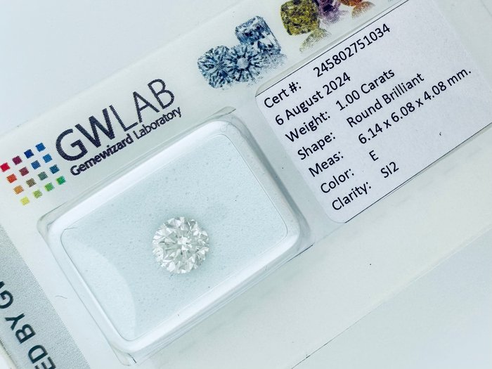 1 pcs Diamant  (Natur)  - 1.00 ct - Rund - E - SI2 - Gemewizard Gemological Laboratory (GWLab) - ( NATURLIG )