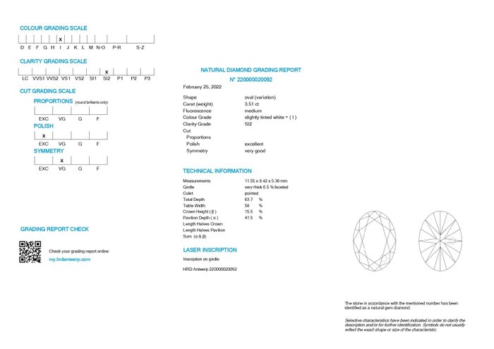 Halskæde med vedhæng - 14 karat Gulguld -  3.50ct. tw. Diamant (Natur)