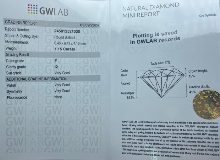 Ingen mindstepris - 1 pcs Diamant  (Natur)  - 115 ct - Rund - F - I2 - Gemewizard Gemological Laboratory (GWLab)