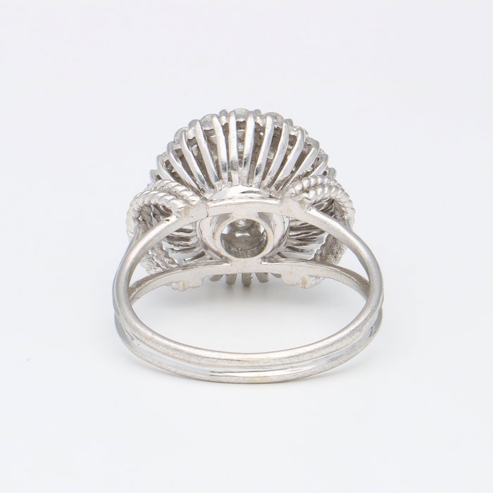 Ring - 14 karat Hvidguld Diamant (Natur)