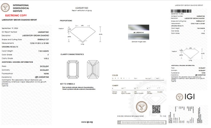 Forlovelsesring - 18 kraat Hvidguld -  7.03ct. tw. Diamant (Laboratoriedyrket) - F VVS2 IGI