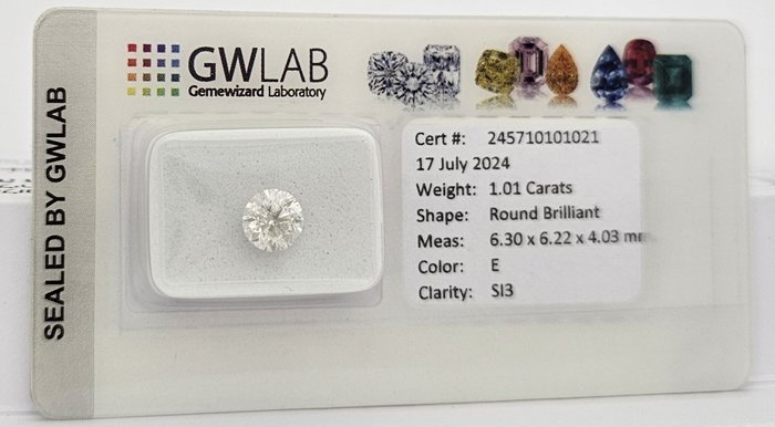 1 pcs Diamant  (Natur)  - 1.01 ct - Rund - E - SI3 - Gemewizard Gemological Laboratory (GWLab)