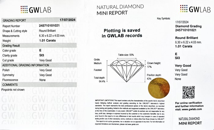 1 pcs Diamant  (Natur)  - 1.01 ct - Rund - E - SI3 - Gemewizard Gemological Laboratory (GWLab)