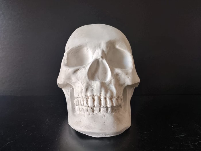 Memento Mori - Skull - marmorstøv - 2020+