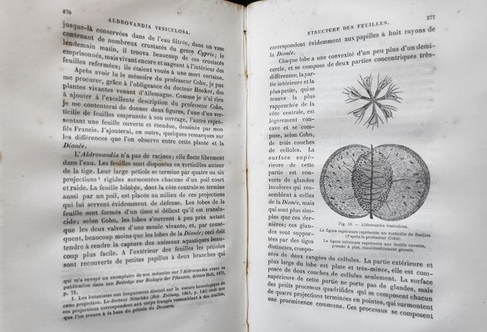 Charles Darwin - Les Plantes Insectivores - 1877