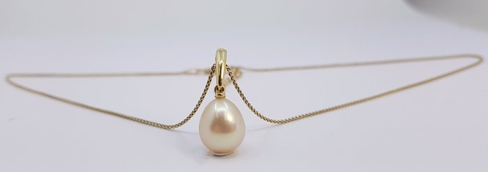 Ingen mindstepris - Vedhæng - 14 karat Gulguld - 10x11mm South Sea Pearl