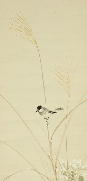 Autumn Flowers, Grasses, and Little Bird - with signature 'Shunpo Hitsu' 春浦 筆 and seal 'Sei In' 清印 'Shunpo' 春浦 - Japan  (Ingen mindstepris)