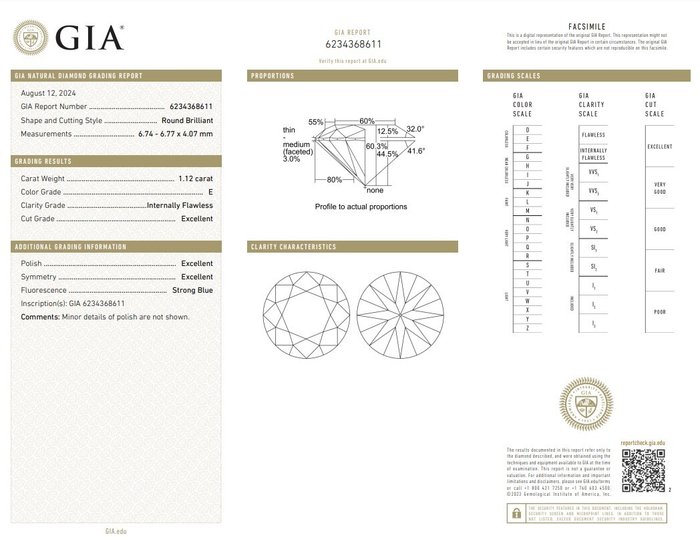 1 pcs Diamant  (Natur)  - 1.12 ct - Rund - E - IF - Gemological Institute of America (GIA)