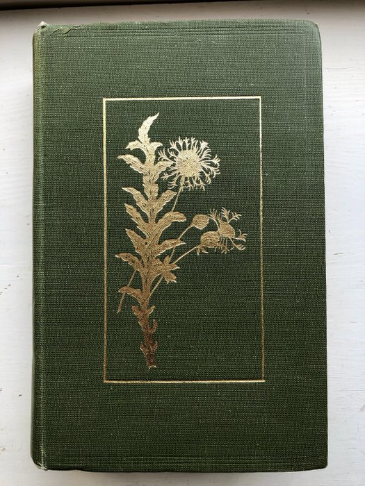 C. A. Johns - Flowers of the Field  (92 coloured plates) - 1938