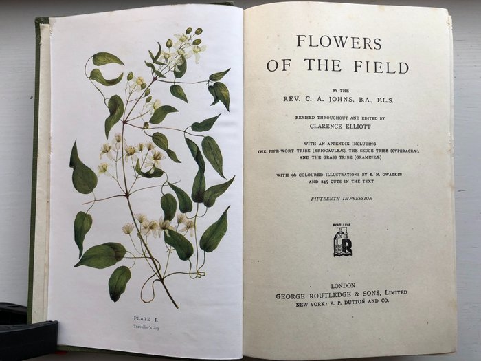 C. A. Johns - Flowers of the Field  (92 coloured plates) - 1938