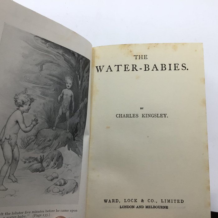 Charles Kingsley - The Water Babies - 1910